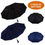 Bluinzi Double 10-Rib Compact Travel Umbrella for Rain and Sun – 46 Inch Small Automatic Folding Umbrella – Sturdy Portable Windproof Umbrella