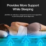 Zearna Inflatable Air Mattress with Built in Pump 13 Inch for Tent Camping, Home Guest Bed – Adjustable Blow Up Mattress – Easy to Inflate (Queen Size) 80″ L x 60″ W x 13″ T